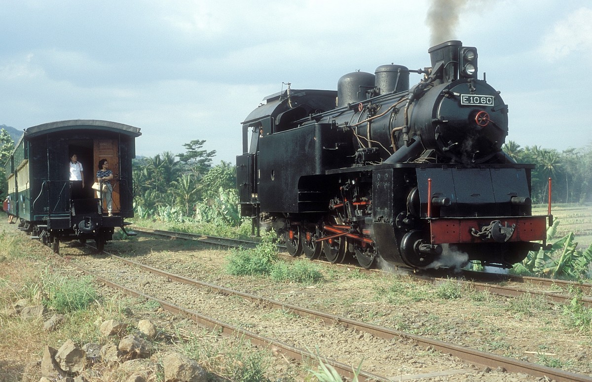 E10 60  Jambu  07.08.04