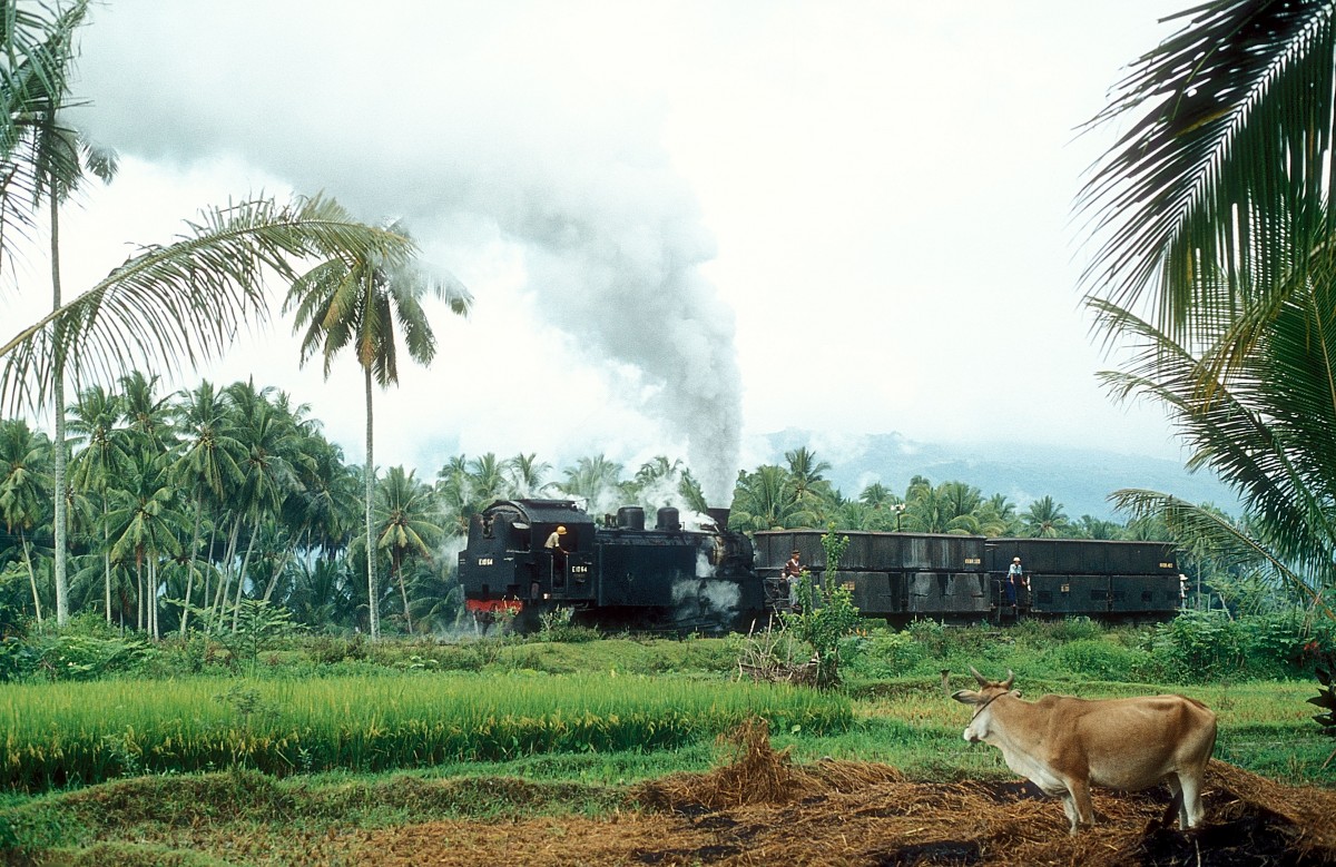  E10 64  von Batutabal nach Padang Panjang  09.10.80