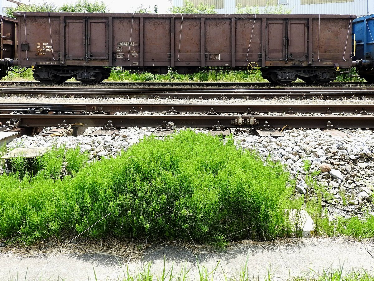 Eanos 3181(A-ÖBB)5377118-9, beladen mit Schrott ist im G75855 am Bhf. Ried eingereiht; 160527