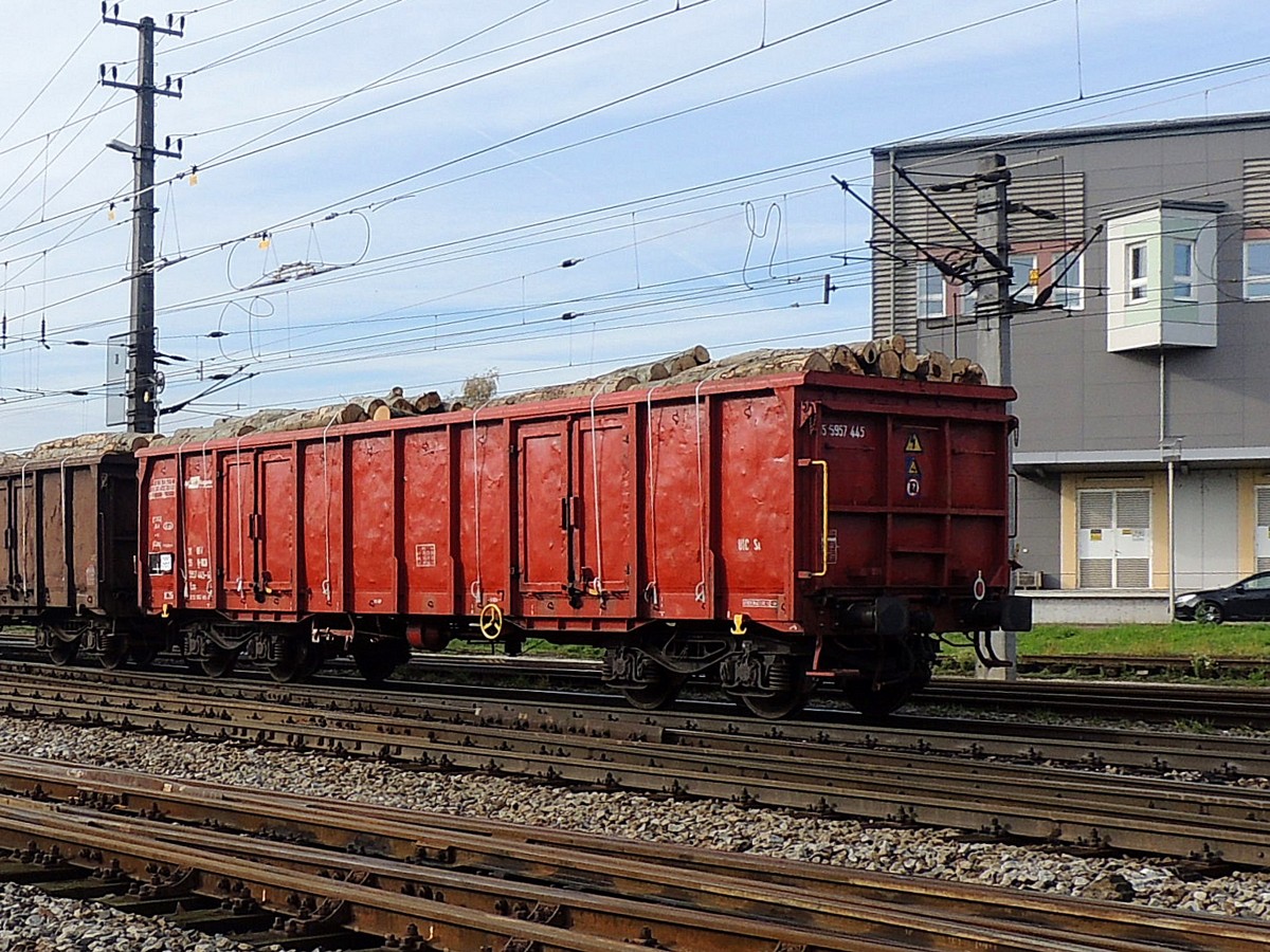 Eas 3155(H-RCH)5957445-6, mit Rundholz beladen, Durchfahrt Bhf. Attnang/Puchheim; 131024