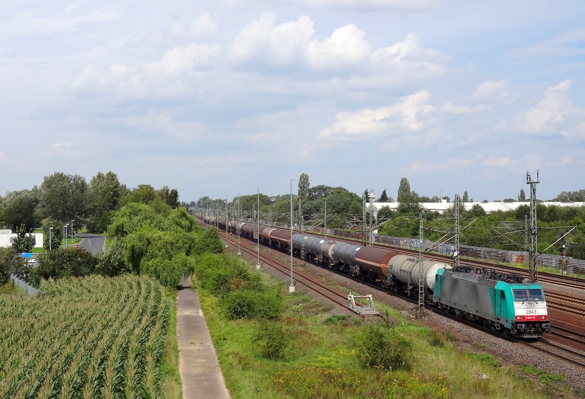 Ebenfalls ein eher seltenerer Gast im Rheintal sind die Cobra Loks, welche normalerweise nur im Grenzüberschreitenden Verkehr unterwegs sind. 
Am 8.8.14 trotzte 186 235 diesem Standard und verirrte sich mit einem Kesselwagenzug in Richtung Süden Deutschlands. 
So konnte die Lok in Porz am Rhein am oben genannten Tag abgelichtet werden. 