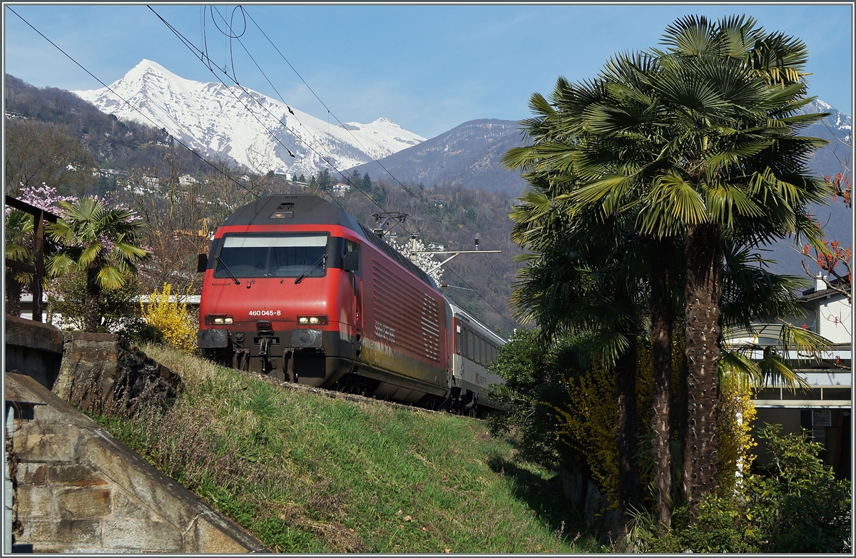 Ebenfalls fast am Ziel ihrer Fahrt ist die Re 460 045-8 mit ihrem IR 2271 Zürich - Locarno.
18. März 2014