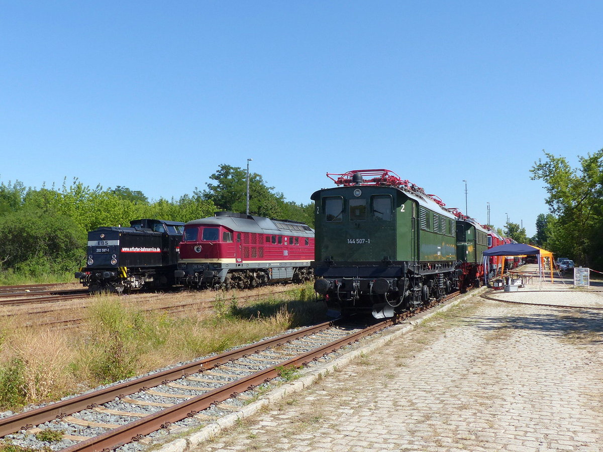 EBS 202 597-1 + 132 334-4 + DB Museum 144 507-1 am 29.06.2019 beim Bahnhofsfest zum Thüringentag in Sömmerda.