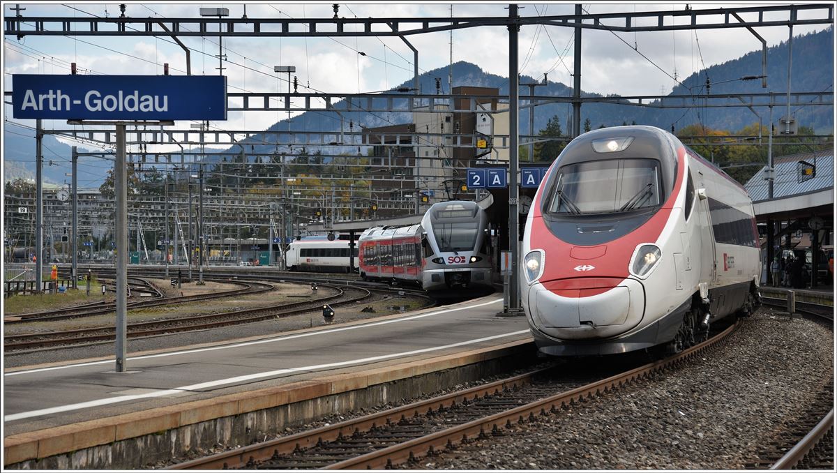 EC16 mit RABe 503 in Arth-Goldau. (20.10.2016)