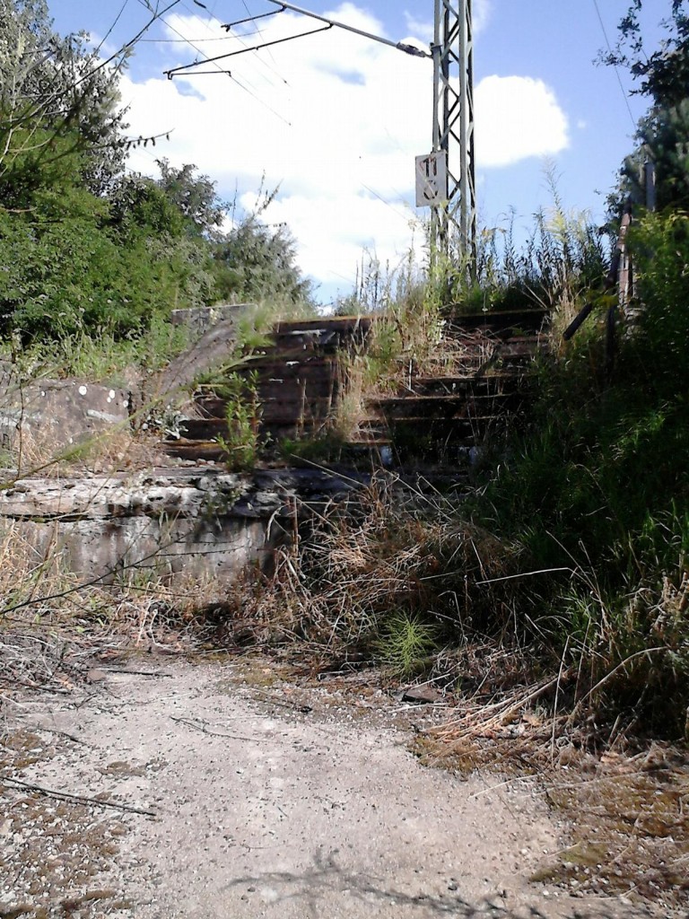 ehem. Haltepunkt Bergholz - Reste der Treppe vom unteren Bahnsteig Wetzlarer Bahn zum oberen Bahnsteig Ri. Saarmund (24.08.2013)