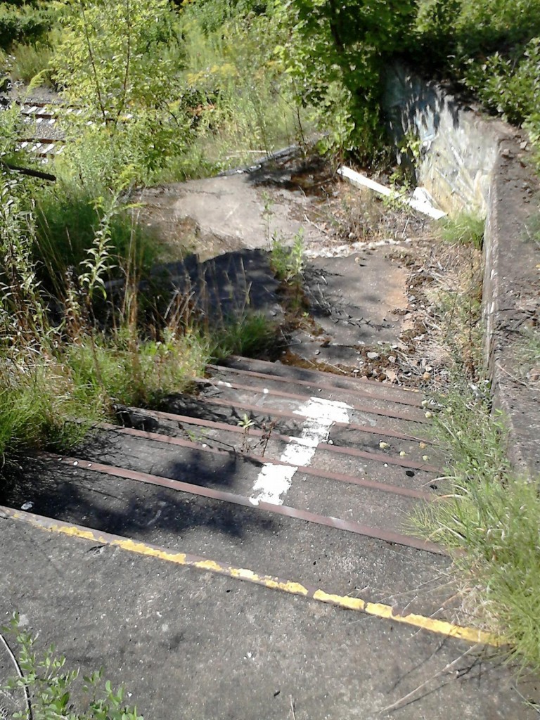 ehem. Haltepunkt Bergholz - Reste der Treppe vom oberen Bahnsteig (Auenring) zum unteren Bahnsteig Wetzlarer Bahn (24.08.2013)