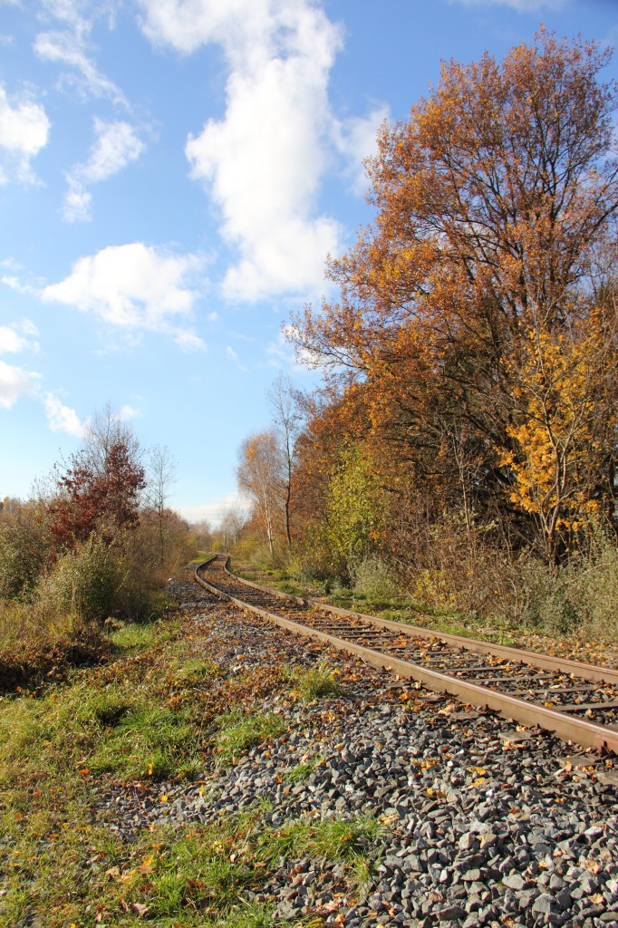 Ehemalige Anbindung vom Umspannwerk Redwitz an die KBS840 am 25.11.2013.
