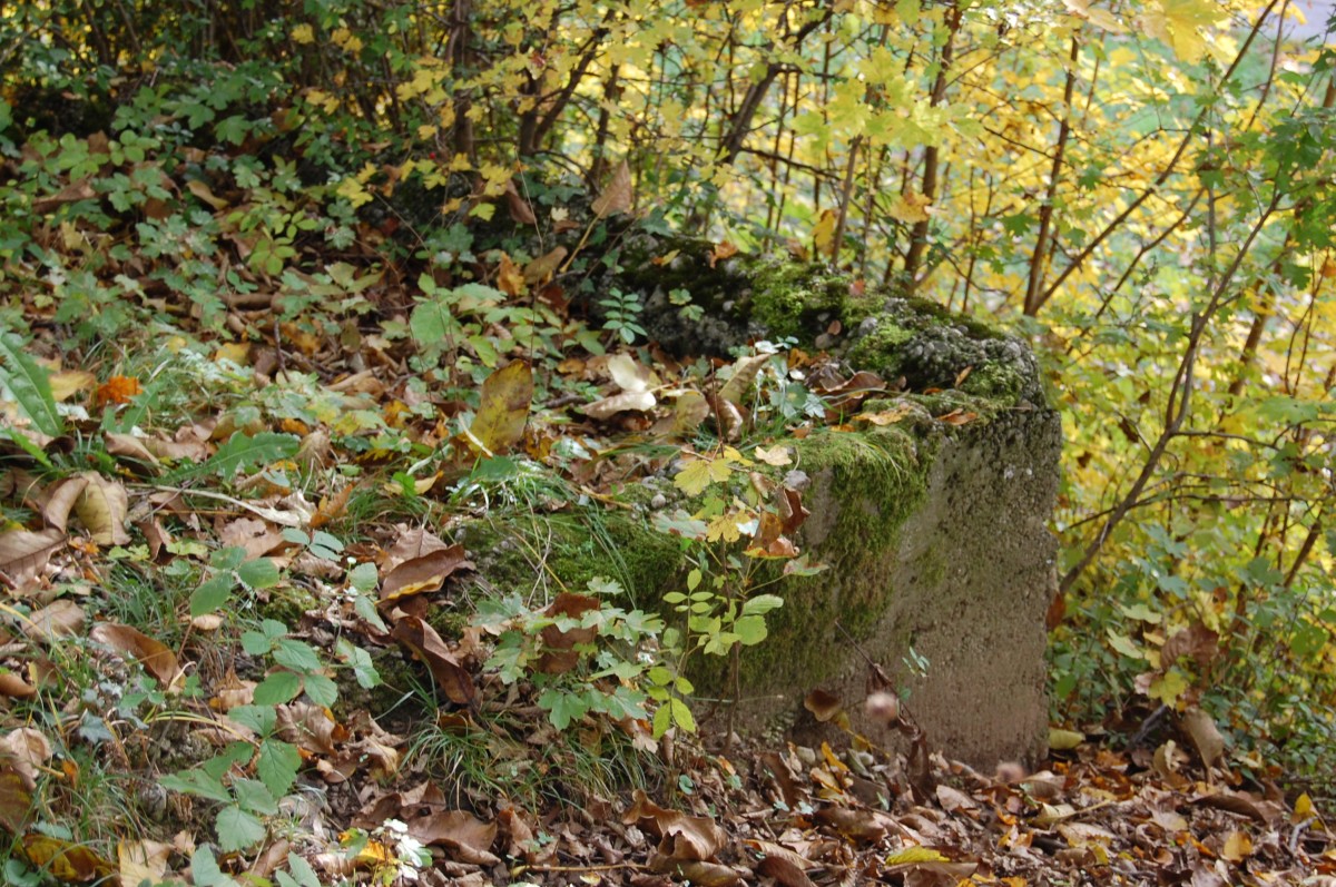 Ehemalige Bahntrasse Freiberg–Bietigheim-Bissingen am 24. Oktober 2015 mit einem Fundament auf dem wahrscheinlich ein Signal stand.