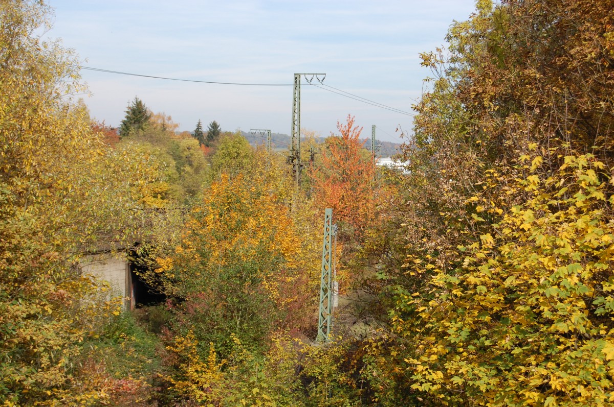 Ehemalige Bahntrasse Freiberg–Bietigheim-Bissingen am 24. Oktober 2015 an der Abzweigung bei Bietigheim-Bissingen.