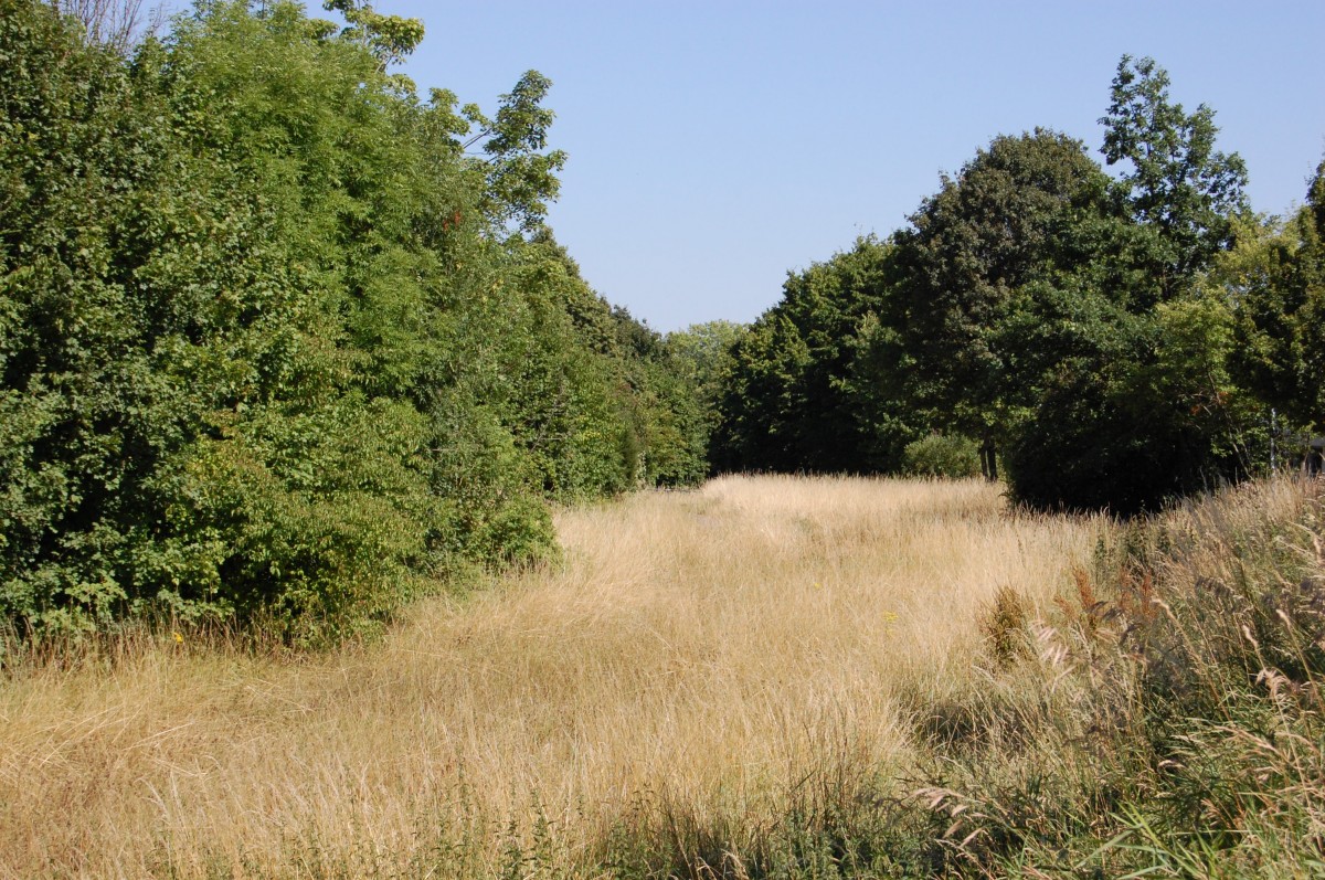 Ehemalige Trasse der Stuttgarter Straßenbahn (Linie 6) am 10. Juli 2015 zwischen Echterdingen und Leinfelden.