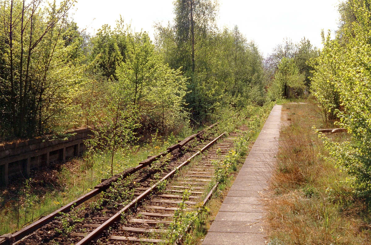 Ehemaliger S-Bahn-Endhaltepunkt Düppel (Oktober 1988).