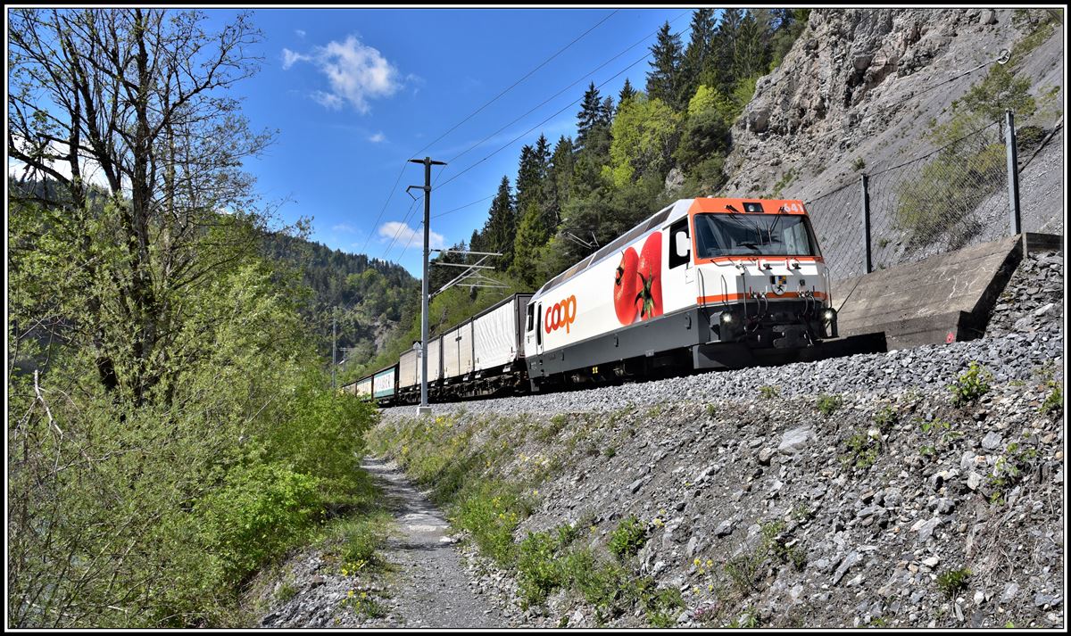 Eher die Ausnahme, die Ge 4/4 III 641  Maienfeld  am 5732 von Ilanz bei Trin. 14.05.2019)