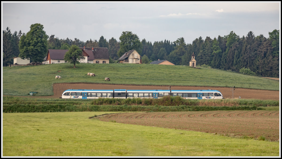 Eigentlich ein Ort für einen Sonnigen Morgen ,.... 
Aber bis ich das wieder schaffe ist der Mais wohl zu hoch. 
Den kann man dieser Tage fast wachsen hören ;-) 

GTW 08 rollt in den Bahnhof St. Martin im Sulmtal Bergla an diesem trüben Sonntag Morgen 10.05.2020 