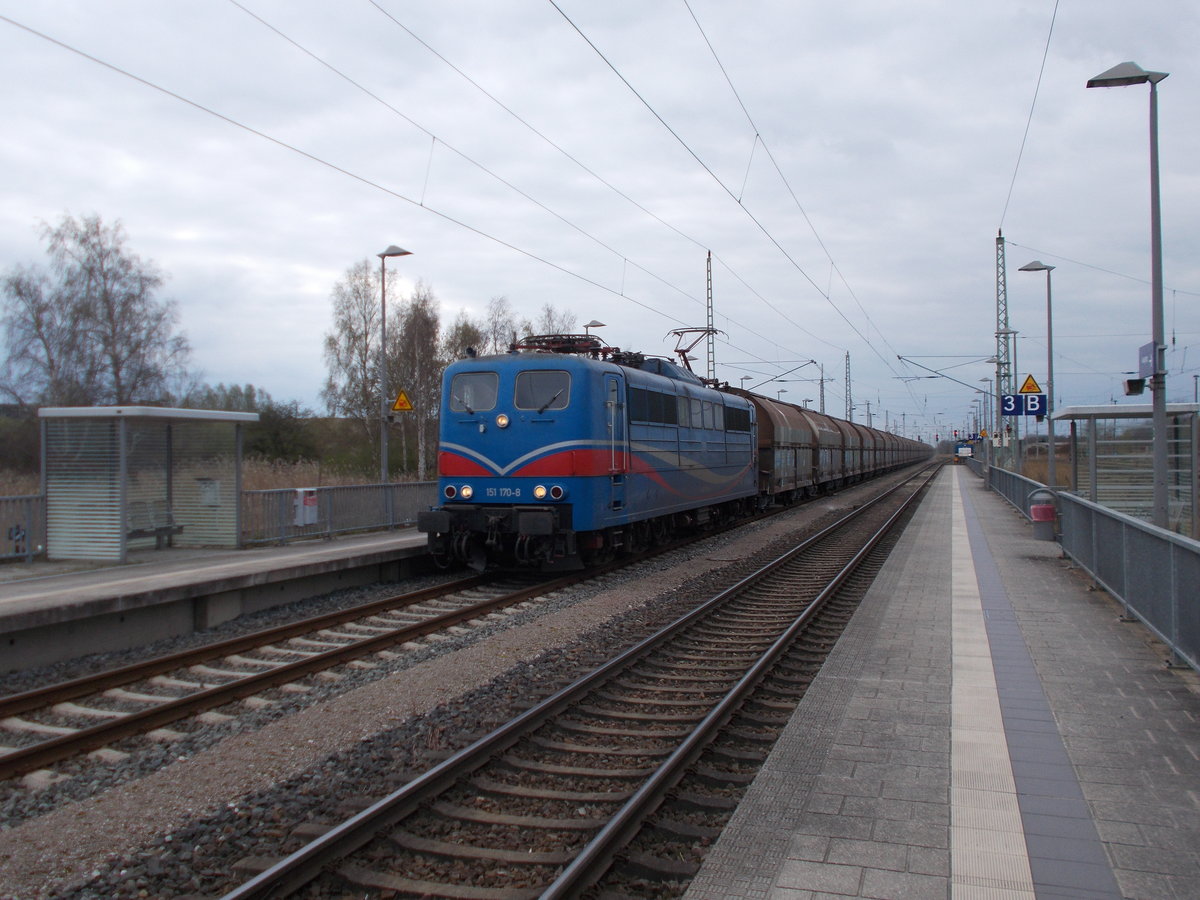 Eigentlich fährt der Kreidezug in den Morgenstunden nach Klementelvitz,doch am 18.April 2016 rauschte die SRI 151 170 mit dem Zug am Nachmittag durch Bergen/Rügen.