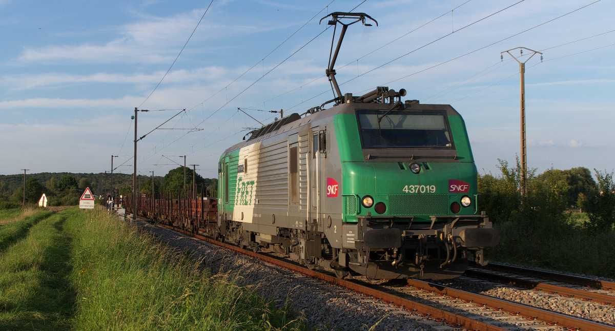 Eigentlich wollten wir schon nach Hause aber wir blieben nach der Rückfahrt des Abendzuges nach Thionville noch ein wenig am Poste Nr. 20 stehen. Ich erklärte Ivie die Schilder und Tafeln und erklärte noch die Übersetzung ins Deutsche. Aus Richtung Bouzonville war ein Rauschen und Grollen zu hören, ich dachte zunächst an einen Traktor aber Ivie rief: Ein Güterzug ! Und schon wenige Sekunden später klingelte Poste Nr. 21 in Guichung und gleich darauf unser Poste Nr. 20 in Diding. 
Der Brammenzug aus Dillingen/Saar nach Dünkirchen rauschte heran. Als der Zug noch mit zwei G1206 oder einer Class 66 über die Niedtalstrecke fuhr, da war er früher dran. Der Laufweg wurde geändert um mit einer E-Lok fahren zu können und jetzt muß der Zug fast 50 Kilometer Umweg machen. 4 37019 ist noch in SNCF FRET Farben unterwegs, hier in der Gegend eher noch selten, die meisten BB 37000 tragen das Akiem Logo und wurden des SNCF Logos beraubt und die grüne FRET Farbe wurde entklebt. Ligne 174 000 (Metz) Anzeling - Hargarten-Falck am 05.09.2014