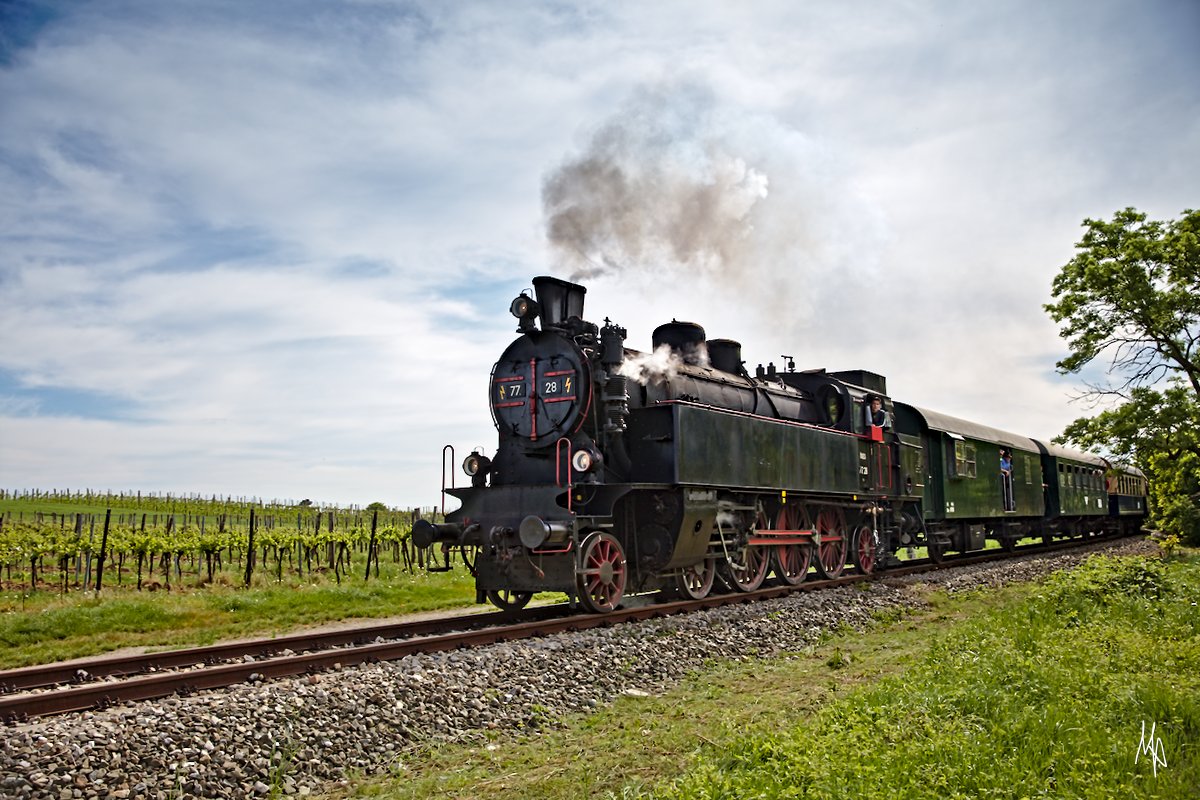 Ein 25 minutiger Halt im Bahnhof Perchtoldsdorf machte es möglich, den Zug zu überholen und kurz vor der Kreuzung Donauwörtherstraße zu fotografieren - vor Weingärten! (01.05.2018)