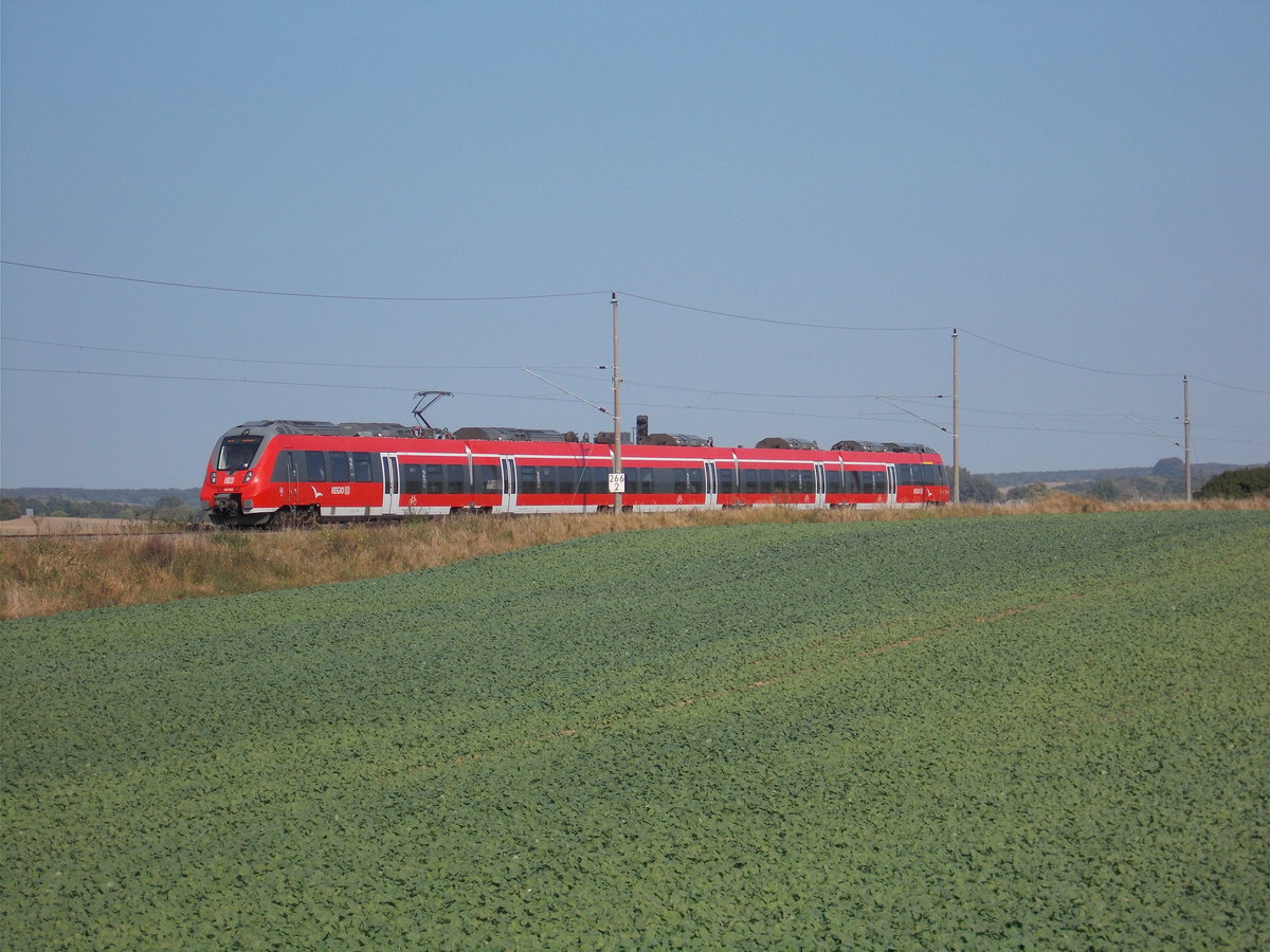 Ein 442 auf dem Weg von Lietzow nach Sassnitz,am 27.September 2016,bei Borchtitz.