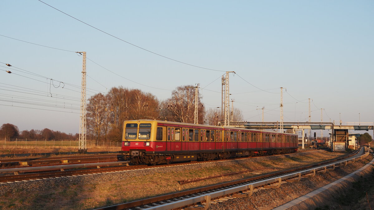 Ein 485er-Halbzug auf der S8 nach Birkenwerder bei der Ausfahrt aus Schönfließ.
Aufgenommen auf Höhe des Bahnübergangs.

Berlin, der 24.03.2022

