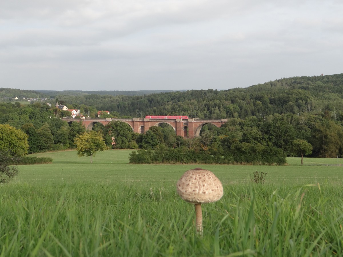 Ein 612er ist zusehen am 24.09.13 auf der Elstertalbr�cke.