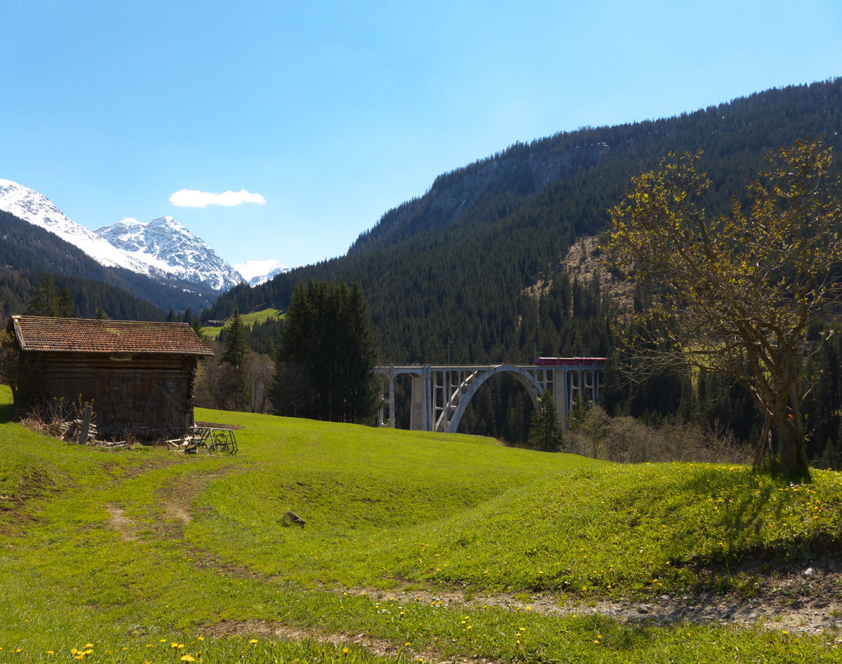 Ein Abe 8/12 ist mit einem Wagen der 2. Klasse und dem Steuerwagen 1723 unterwegs als R 1448 (Arosa - Chur). Der Zug befährt gerade das, 284m lange und 62m hohe, Langwieser Viadukt.
Langwies, 05. Mai 2016
