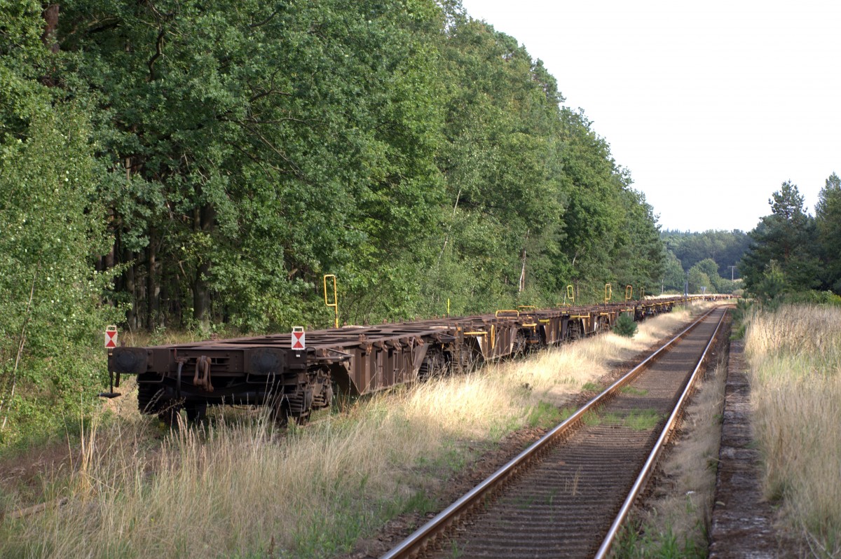 ein abgestellter Ganzzug , gebildet aus Container-Wagen, im Bahnhof Alt Schwerin.
29.08.2013 16:09 Uhr.