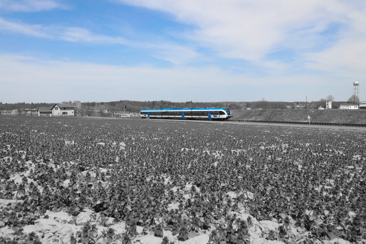Ein Acker Voller Taubnesseln ist mir am Wochenende ins Auge gestochen. 
Neben den wunderbaren Farben die das Braun des Ackers auffrischen summen unzähligen Bienen und Hummeln übers Feld. 
Hier im Bild GTW 08 im Bahnhof Wettmanstätten am 9.04.2018