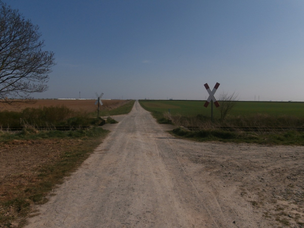 Ein Bahnübergang 2 Andreaskreuze und ein endloser Feldweg. Nein wir sind nicht irgendwo weit ab jeglicher Zivilisation sondern bei einem Bahnübergang des Anschlussgleises zum Umspannwerk bei Brauweiler. 
Pulheim 29.03.2014