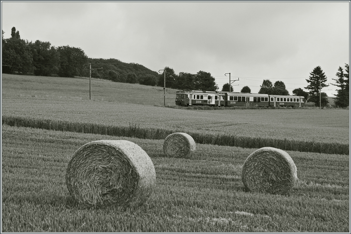 Ein BAM Regionalzug bei Yens.
3. Juli 2014 