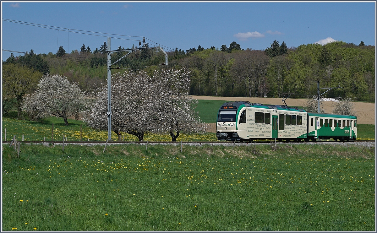 Ein BAM Regionalzug bestehend aus SURF Be 4/4 und Bt auf der  Nebenlinie  L'Isle - Apples unterwegs, fährt durch den Frühling und erreicht in Kürze sein Ziel Apples.

19. April 2018
 

