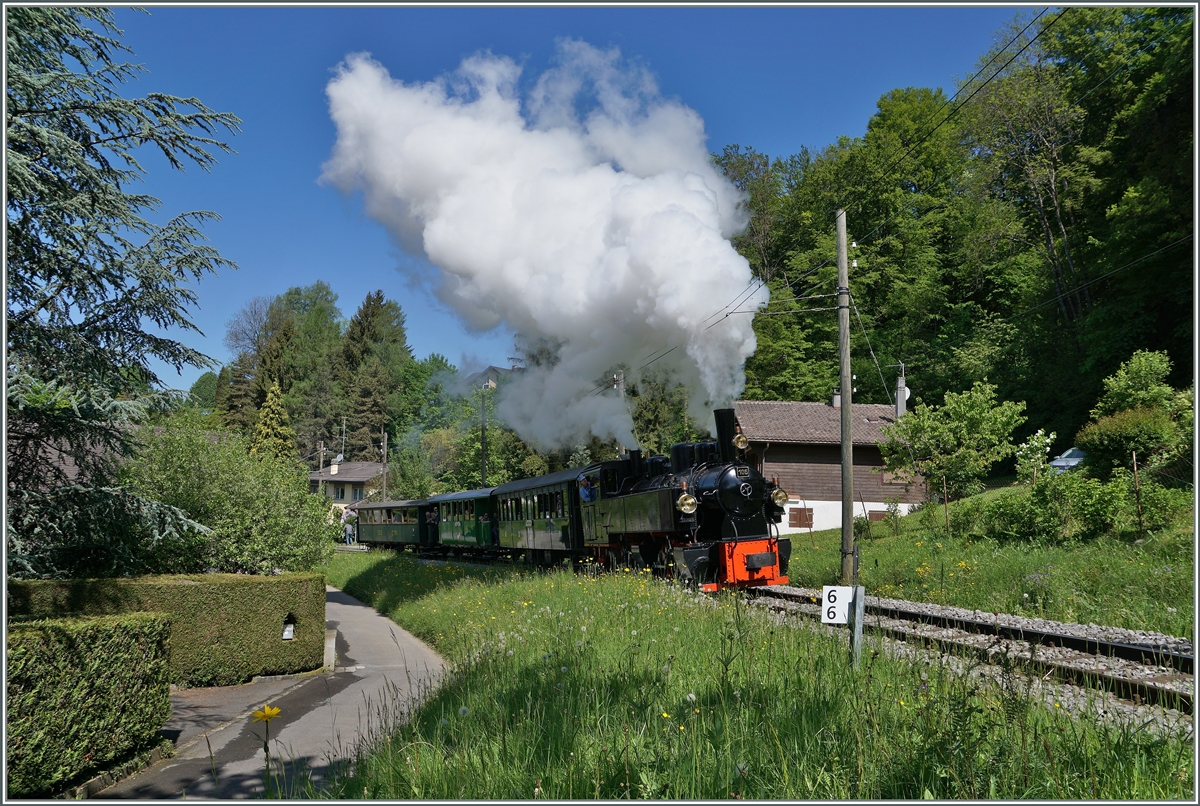 Ein BC Dampfzug mit der G 2x 2/2 105 auf der Fahrt nach Chamby kurz nach Blonay
16. Mai 2016