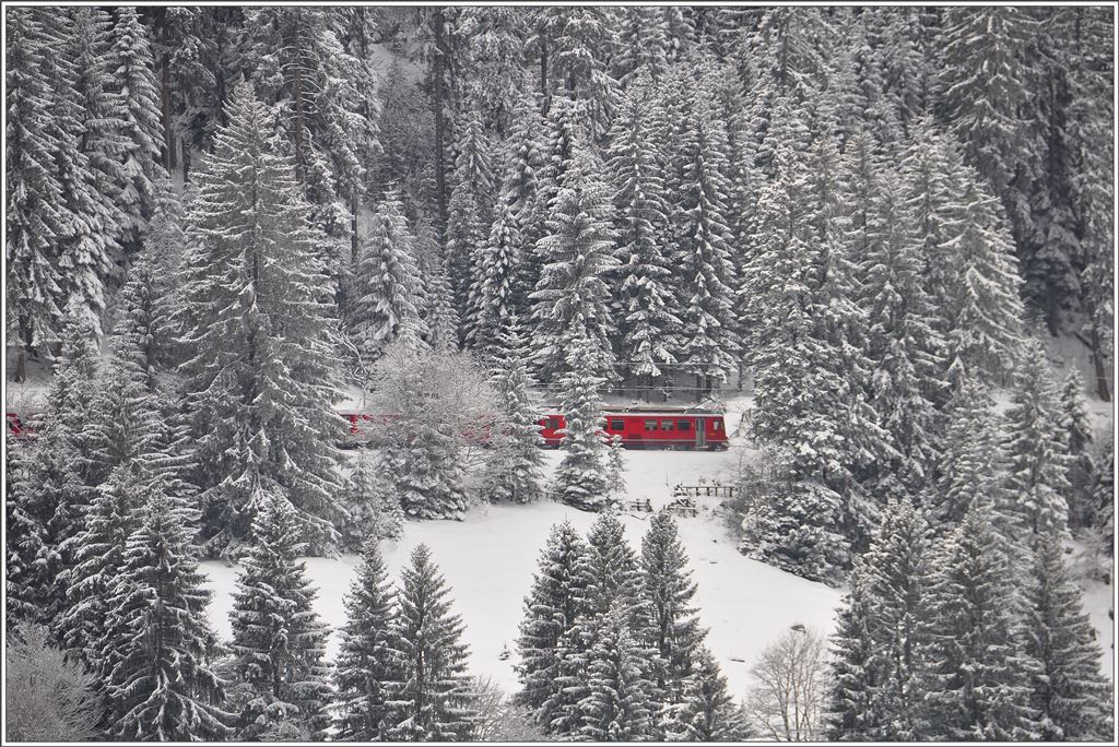 Ein Be 4/4 Vorortspendel ist als RE1034 zwischen Davos Platz und Klosters Platz unterwegs im frisch verschneiten Wald bei Cavadürli. (04.02.2016)