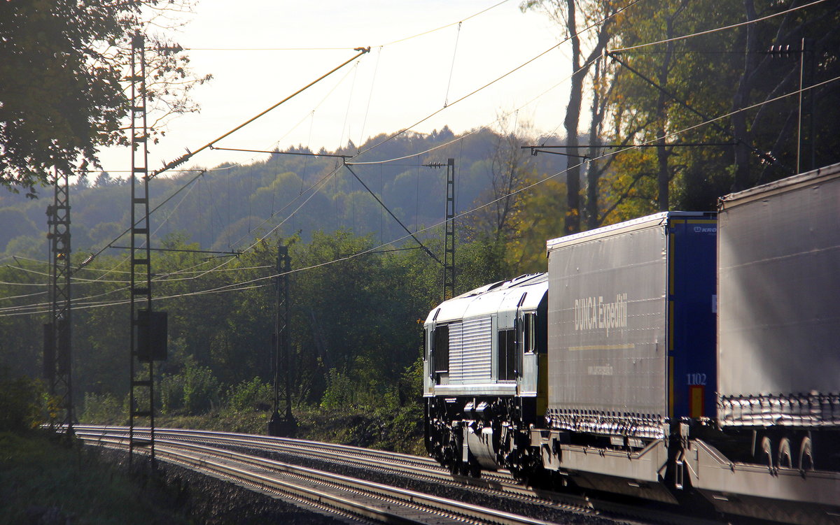 Ein Bilck auf die Class 66 PB18 von der Rurtalbahn-Cargo Sie zieht einen schweren KLV-Containerzug aus Frankfurt-Höchstadt am Main(D) nach Genk-Goederen(B).
Aufgenommen an der Montzenroute am Gemmenicher-Weg. 
Bei schönem Herbstwetter am Nachmittag vom 3.11.2018.
