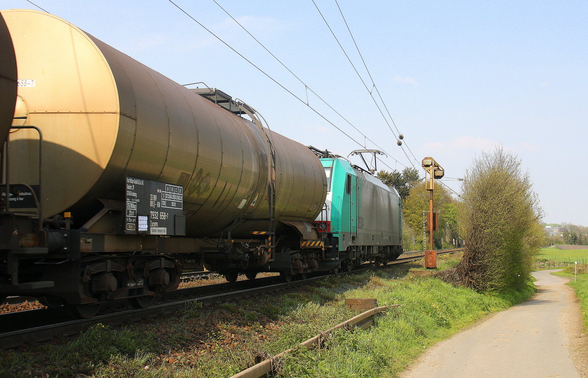 Ein Blick auf die Cobra 2834 sie kommt mit einem Kesselzug aus Antwerpen-BASF nach Ludwigshafen-BASF(D). Aufgenommen an der Montzenroute am Gemmenicher-Weg. 
Bei schönem Frühlingswetter am Nachmittag vom 2.5.2016.