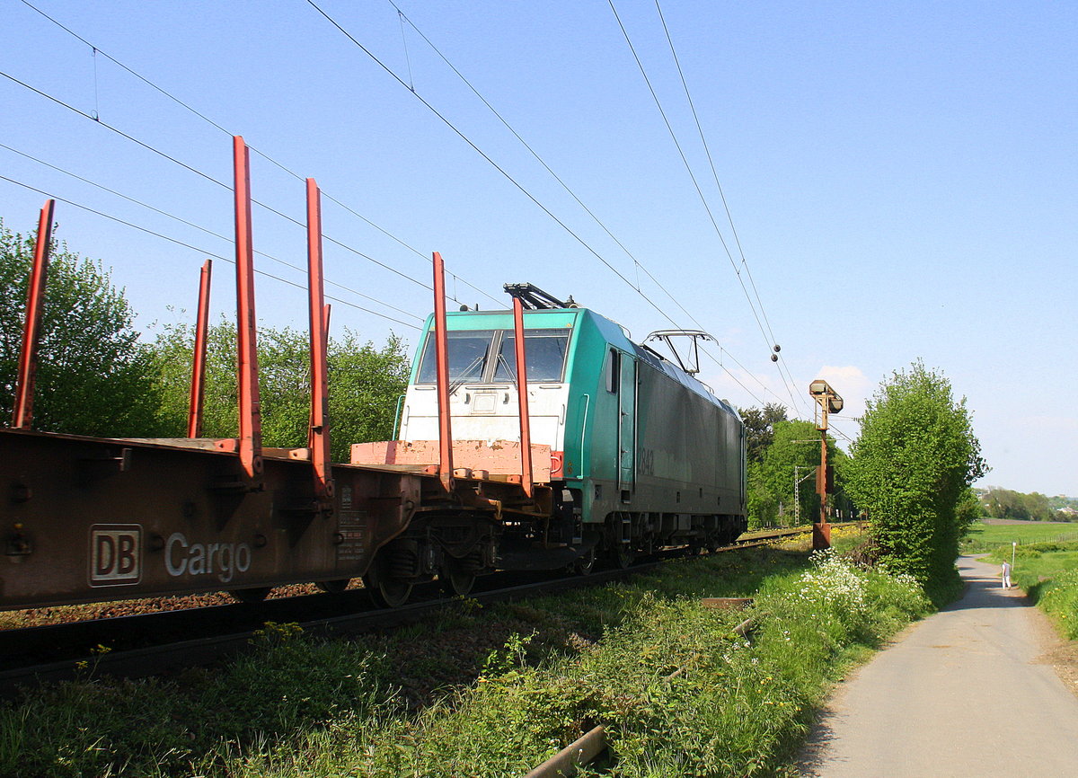 Ein Blick auf die Cobra 2842. 
Sie kommt die Gemmenicher-Rampe herunter nach Aachen-West mit einem Güterzug aus Antwerpen-Noord(B) nach Köln-Gremberg(D).
Aufgenommen an der Gemmenicher-Rampe am Gemmenicher-Weg an der Montzenroute. 
Bei Sommerwetter am Nachmittag vom 12.5.2016