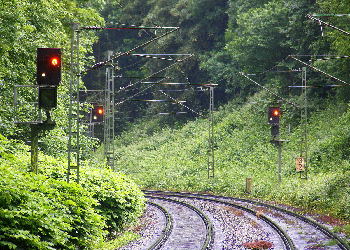 Ein Blick auf der KBS 485 in Richhtung Aachen-Hbf.
Aufgenommen vom Bahnsteig von Aachen-Schanz.
Bei Regenwetter am Nachmittag vom 18.6.2016.