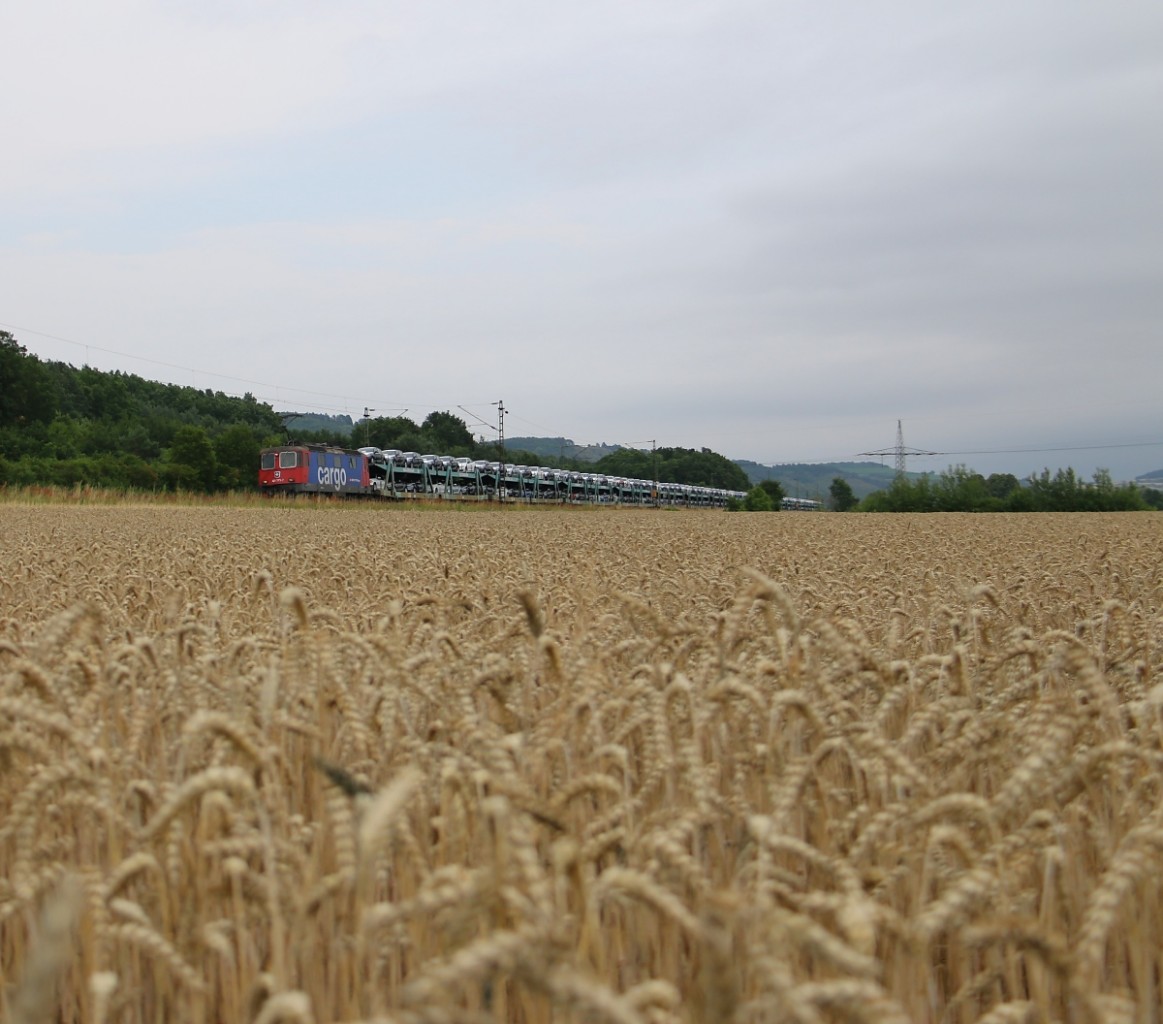 Ein Blick über's Kornfeld. 421 373-2 mit Autotransportwagen in Fahrtrichtung Norden. Aufgenommen am 10.07.2014 bei Harrbach. 