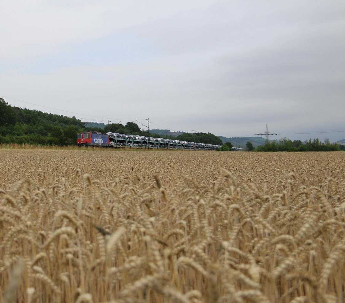 Ein Blick über's Kornfeld. 421 373-2 mit Autotransportwagen in Fahrtrichtung Norden. Aufgenommen am 10.07.2014 bei Harrbach. 