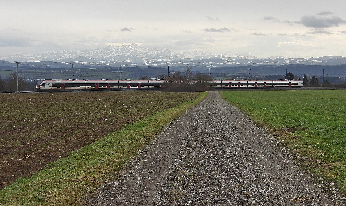 Ein Dienstzug aus zwei gekoppelten RABe 521 in Richtung Kreuzlingen am 09.01.2011 zwischen den Stationen Kehlhof und Berg (TG).