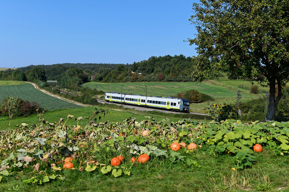 Ein dreiteiliger  Mops  von agilis hat für dieses Motiv bei Edlhausen genau die richtige Länge. Am 15. September 2020 konnte ich die frühherbstliche Stimmung mit dem 440 903 einfangen. Es handelte sich hierbei um die ag 84341 von Neumarkt in der Oberpfalz nach Plattling. 