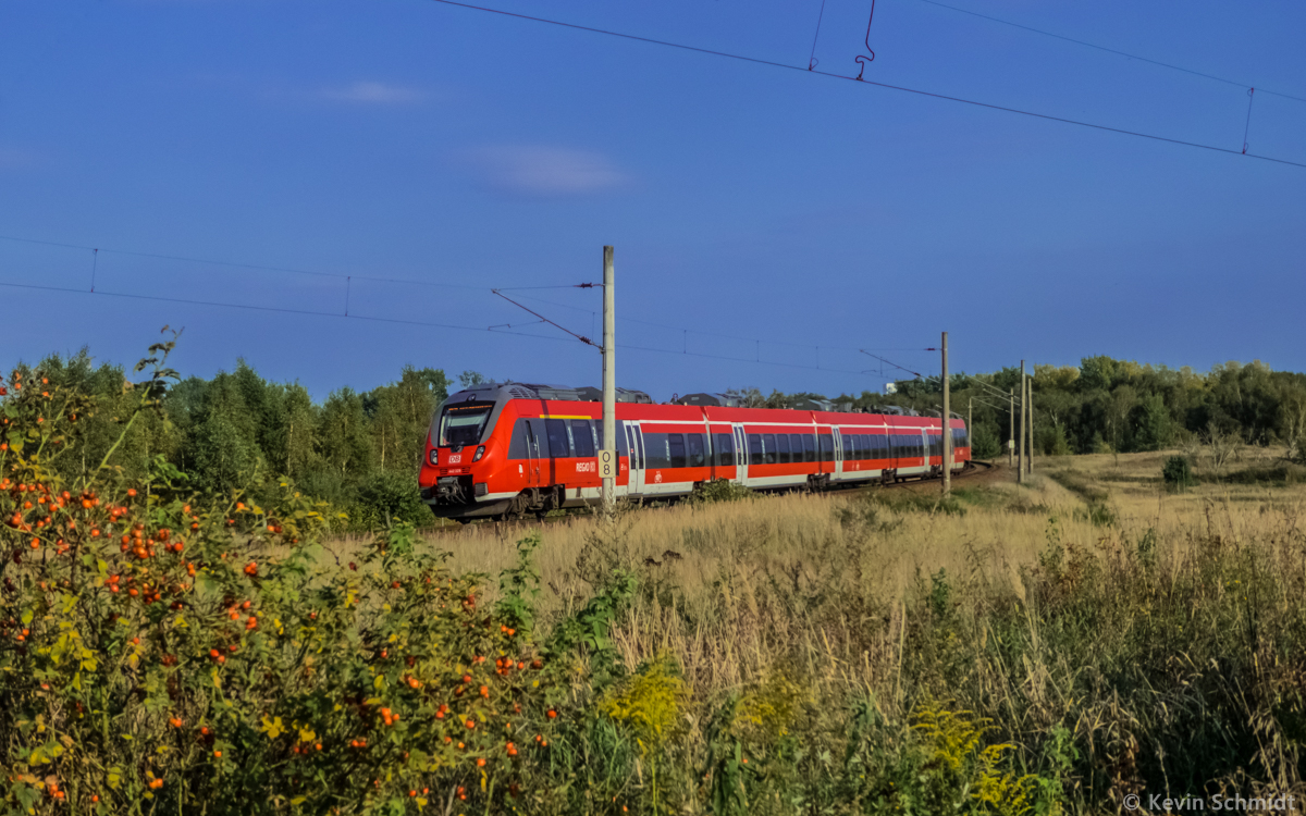 Ein ET 442 ist auf der RB19 von Senftenberg nach Berlin Gesundbrunnen in der Kramer-Kurve südlich von Berlin zwischen dem Außenring nahe des ehem. Bahnhofs Genshagener Heide und der Anhalter Bahn bei Großbeeren unterwegs. (08.09.2014)