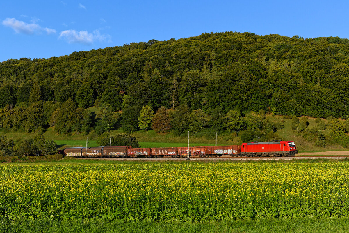 Ein Feld mit blühendem Senf passierte am Abend des 21. September 2022 die 187 174 mit einem gemischten Güterzug bei Breitenfurt im Altmühltal.