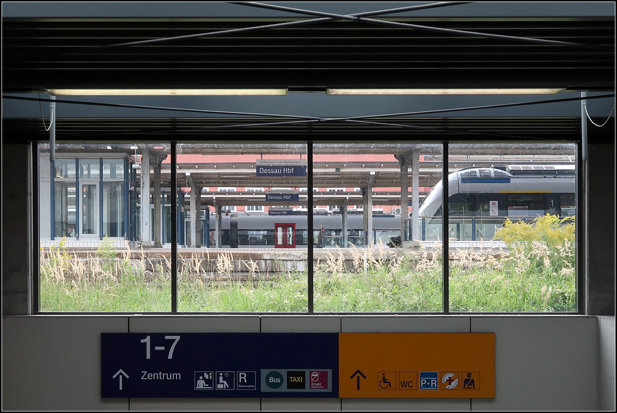 Ein Fenster zu den Bahnsteigen -

Kommt man in Dessau aus Richtung des Bauhauses zum Hauptbahnhof kann man vom rückwärtigen Treppenabgang durch eine Verglasung auf die Bahnsteige und Züge blicken.

26.08.2017 (M)