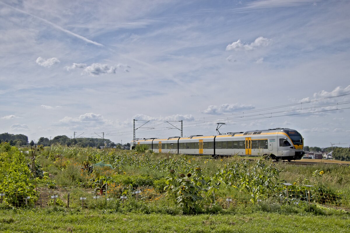 Ein FLIRT der Eurobahn passiert den  Genussgarten  in Unna (15.08.2021)