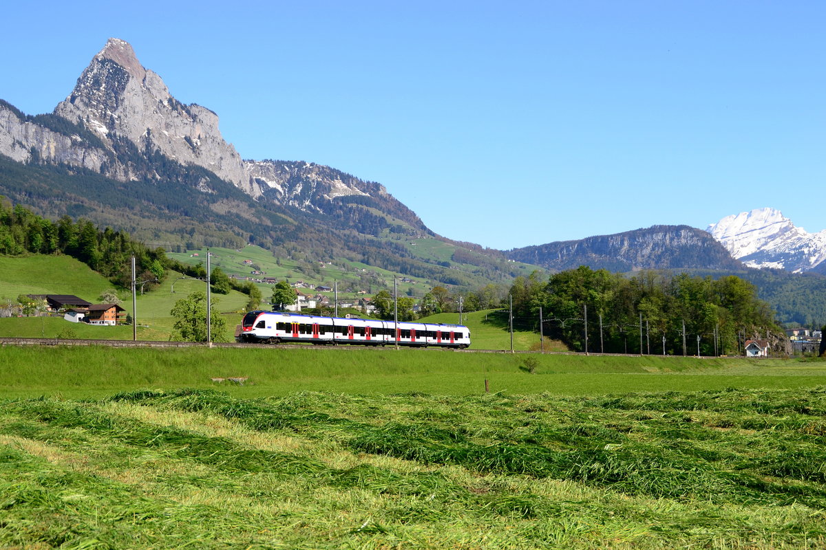 Ein Flirt der Stadtbahn Zug als  S 2 (21262)  Erstfeld nach Baar Lindenpark am 05.05.2016 bei Steinen. 
