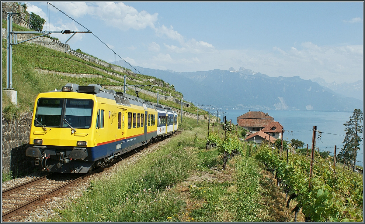 Ein  gemischter  Train des Vignes in den Weinreben oberhalb von St-Saphorin auf dem Weg nach Puidoux-Chexbres.

25. Mai 2009