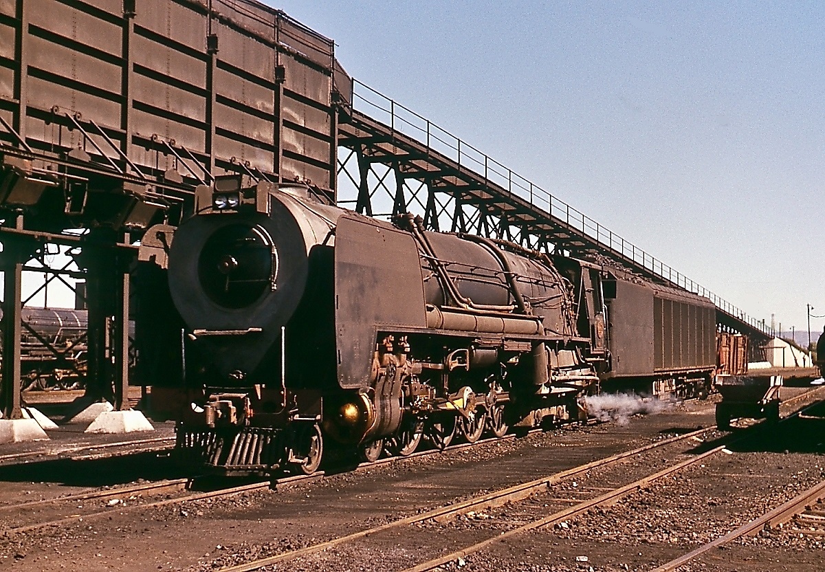 Ein Gigant auf (Kapspur-)Schienen: Eine Kondenslok der SAR-Reihe 25 im November 1976 im Depot Beaconsfield/Kimberley. Lok und Tender waren ca. 35 m lang und hatten ein Dienstgewicht von fast 235 Tonnen, die Leistung betrug knapp 3.400 PS. Damit stellten sie die Reichsbahn-1'E1'-Baureihe 45 weit in den Schatten (zum Vergleich: Lüp 25.645 mm, Dienstgewicht Lok und Tender ca. 207 Tonnen, 2.800 PS). Basierend auf den Kondensloks der Baureihe 52 entwickelte Henschel diese Lokomotiven für die stark befahrenen Strecken durch die wasserarme Karoo. Mit dem Einsatz der Reihe 25, die im Vergleich zu den gleichzeitig gelieferten Lokomotiven ohne Kondenseinrichtung (25 NC) nur 15 % der Wassermenge benötigten, konnte auf die bisher unentbehrlichen Kesselwagenzüge zur Versorgung der zahlreichen Wasserstationen verzichtet werden. Durch die Elektrifizierung bis Beaufort West wurden immer weniger Kondenslokomotiven benötigt, bis auf 3 baute sie die SAR daher zwischen 1974 und 1978 in 25 NC um.