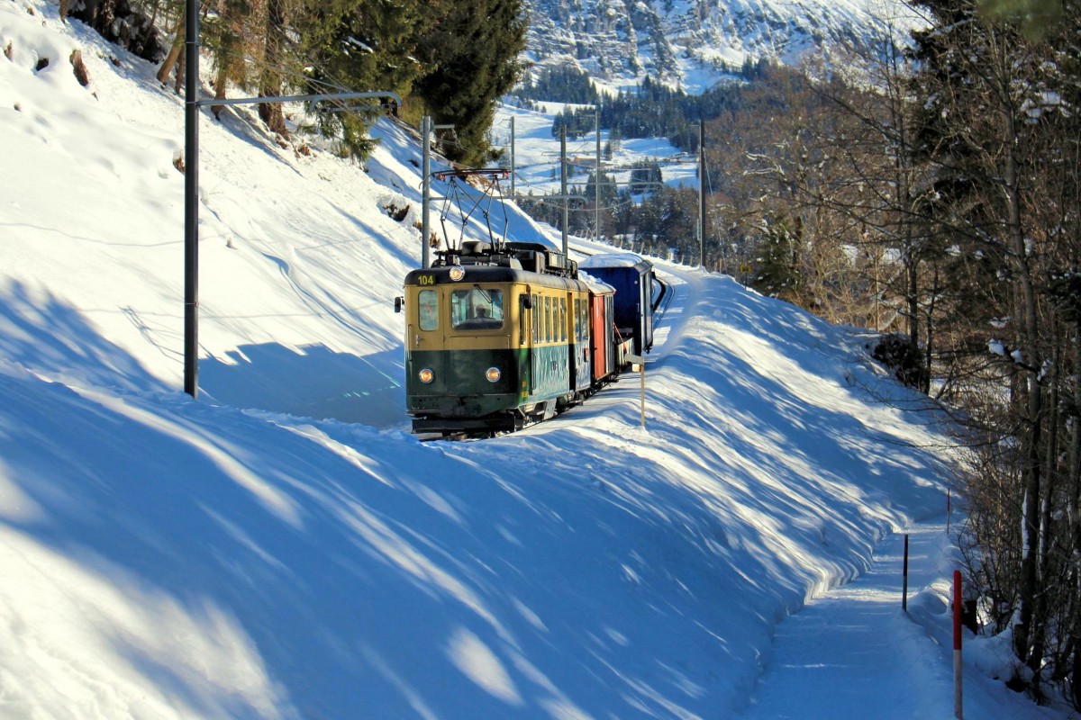Ein Güterzug der Wengernalpbahn mit Triebwagen 104 in Wengwald, 10.Februar 2015. 
