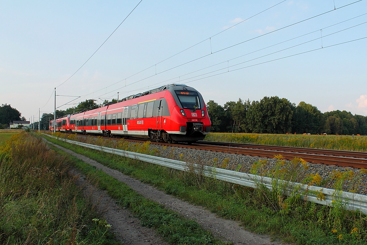 Ein Hamsterdoppel, geführt von 442 130 und 442 134 auf der RE 5 nach Berlin Hbf am 11.09.2016 in Nassenheide.