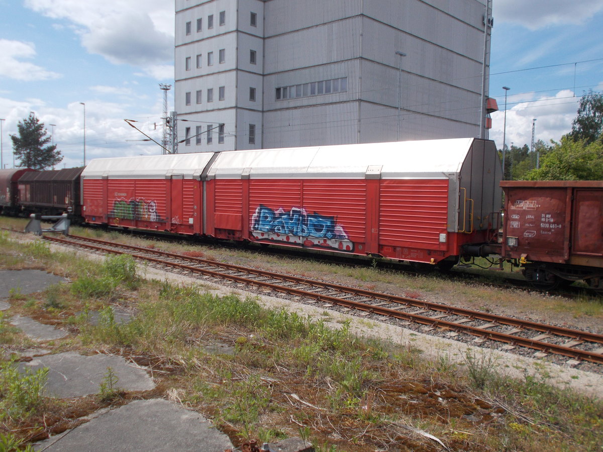 Ein Hccrrs,am 17.Mai 2016,in Seddin.