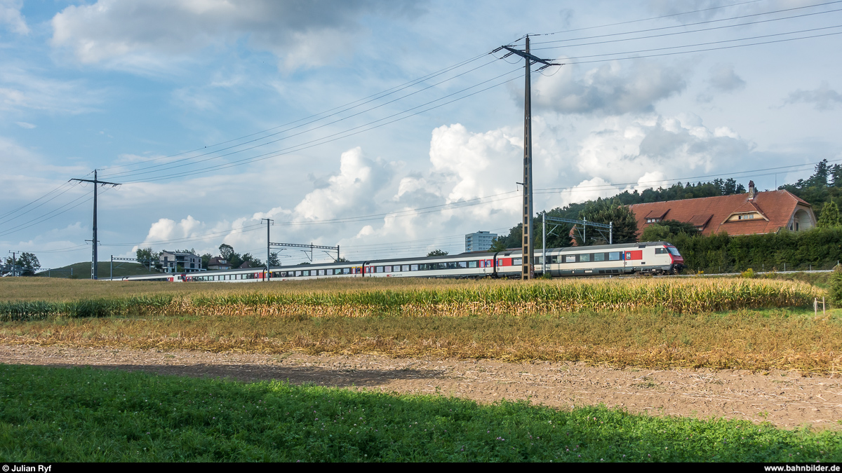 Ein IC Richtung Bern - Basel taucht am 29. August 2018 kurz vor Ostermundigen in ein Maisfeld ab.